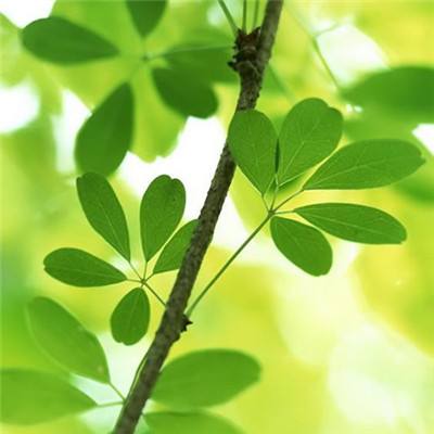 情天大圣无限元宝版下载