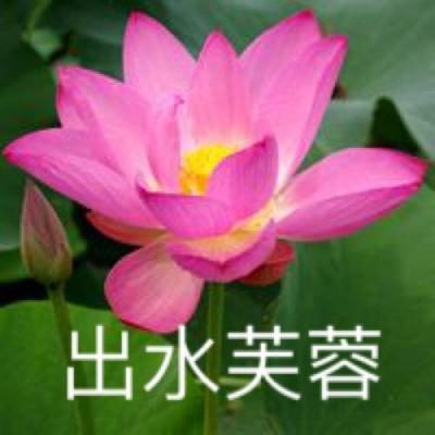 神俑降临腾讯手游官方版下载